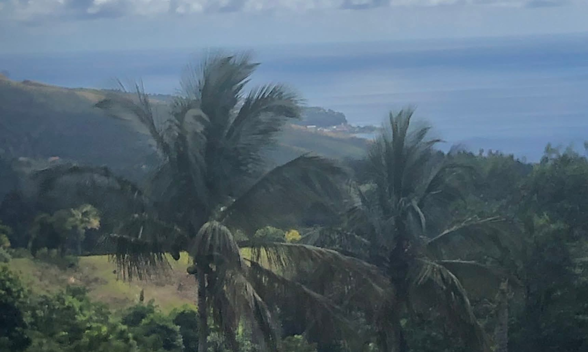 Camp Meeting - Dominica photo of scenery